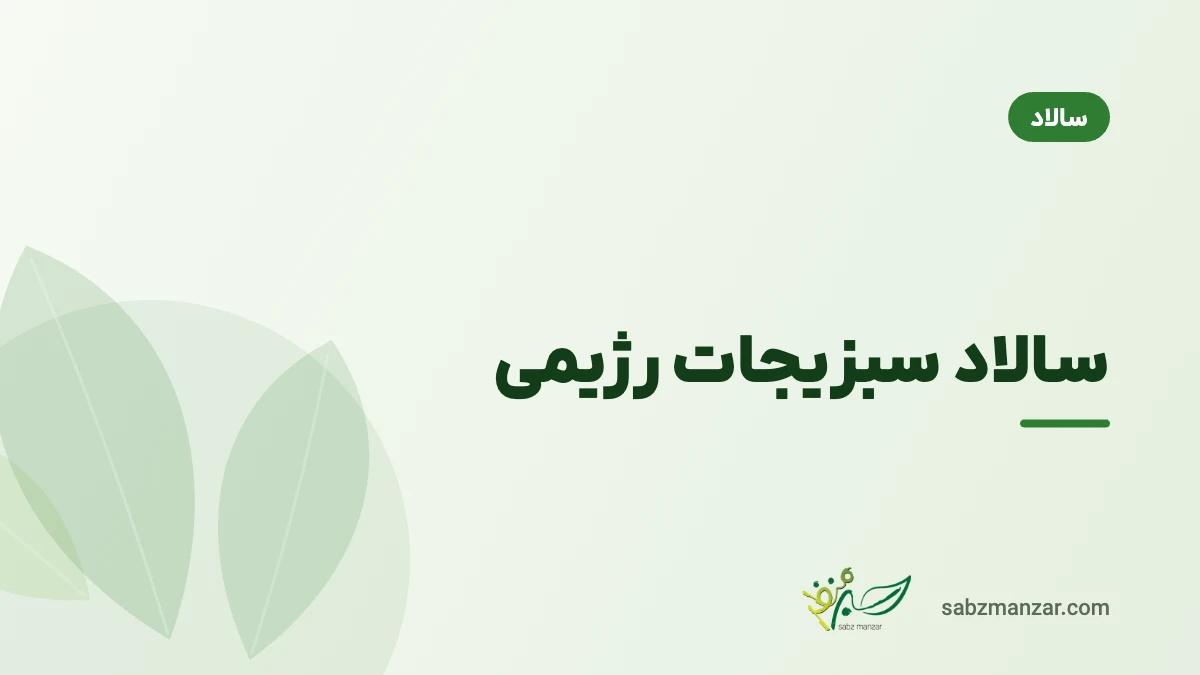 سالاد سبزیجات رژیمی
