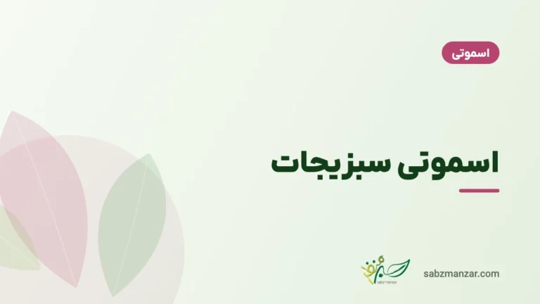 اسموتی سبزیجات