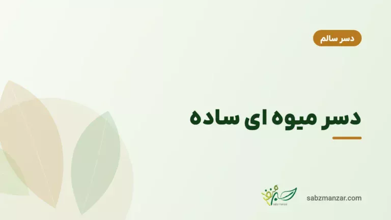 دسر میوه ای ساده