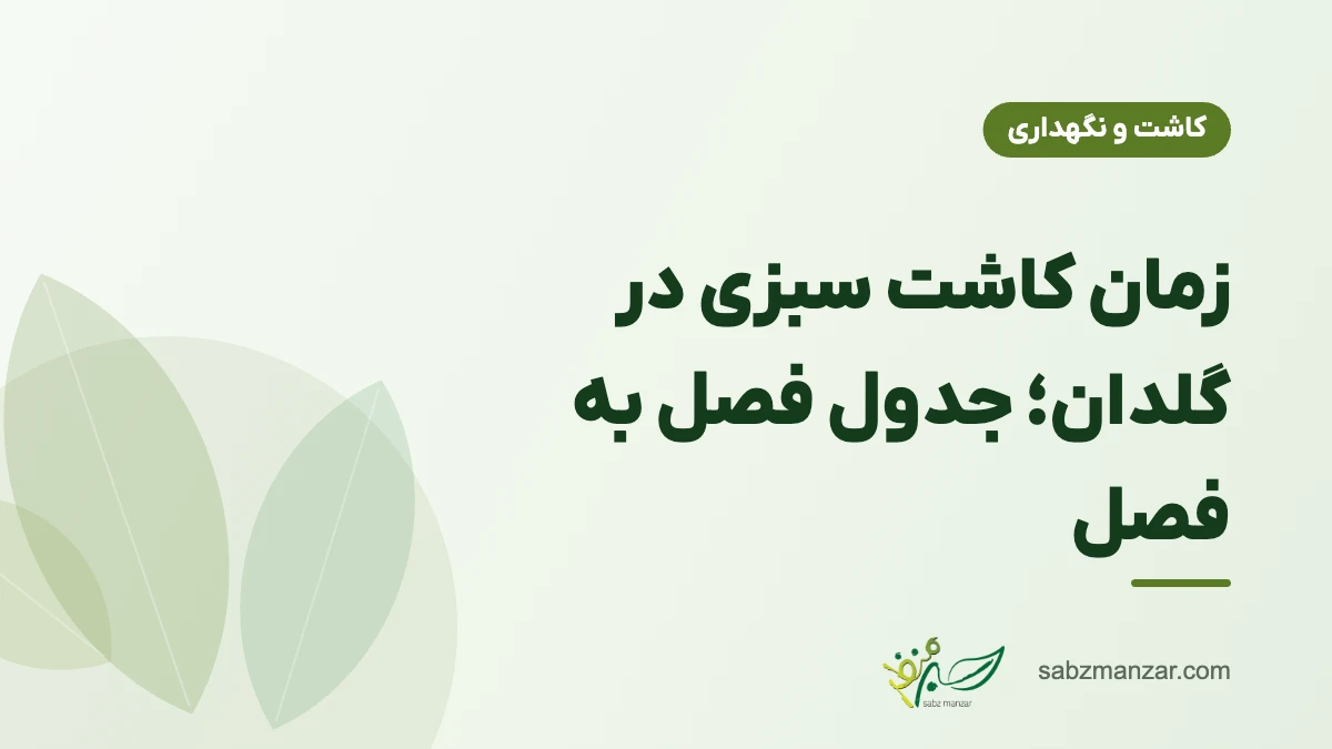 زمان کاشت سبزی در گلدان؛ جدول فصل به فصل