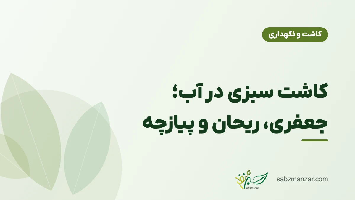 کاشت سبزی در آب؛ جعفری، ریحان و پیازچه
