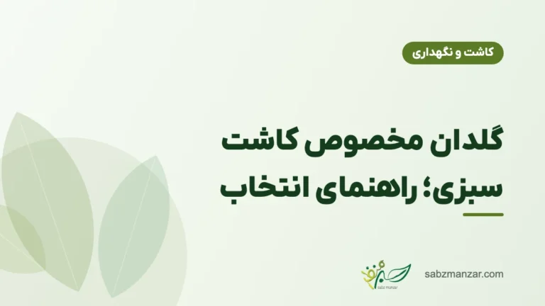 گلدان مخصوص کاشت سبزی؛ راهنمای انتخاب