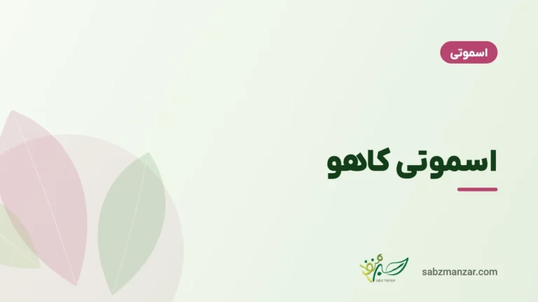اسموتی کاهو
