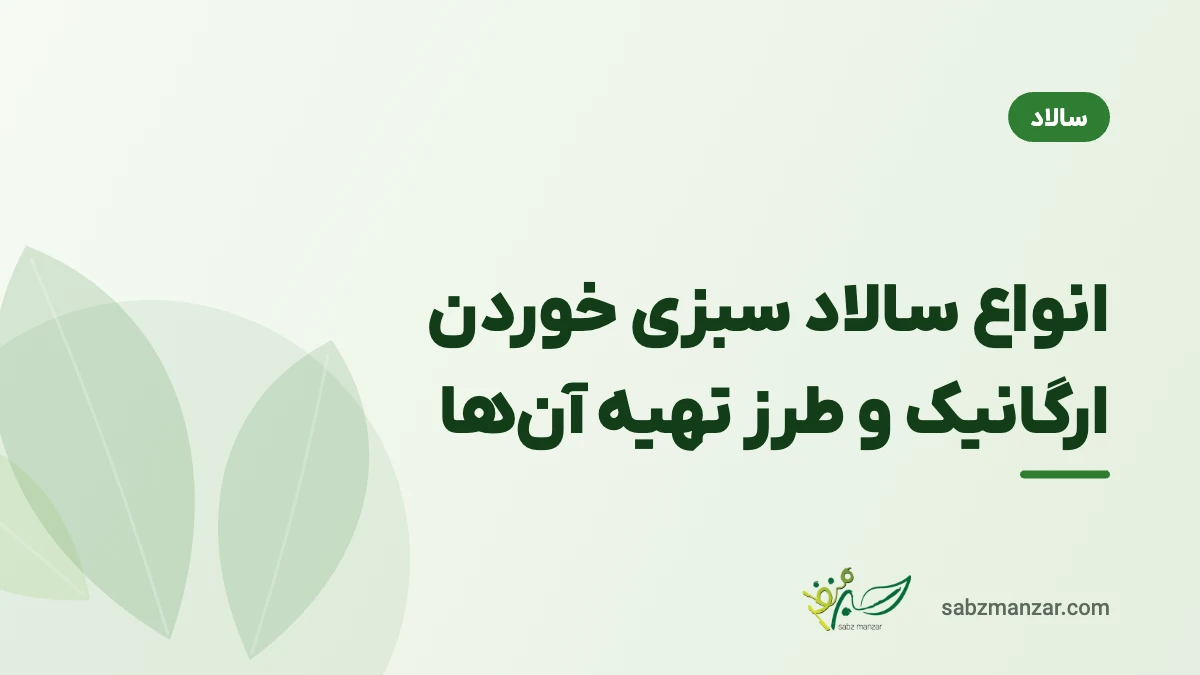 انواع سالاد سبزی خوردن ارگانیک و طرز تهیه آن‌ها