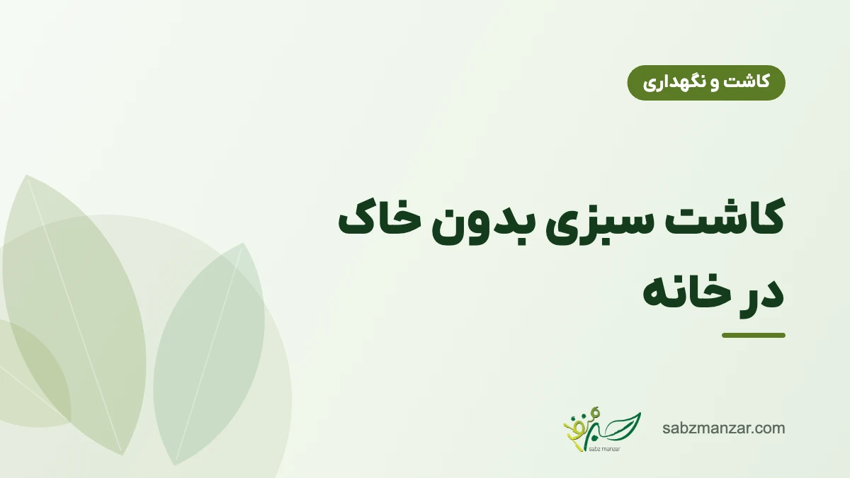 کاشت سبزی بدون خاک در خانه