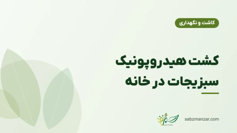 کشت هیدروپونیک سبزیجات در خانه