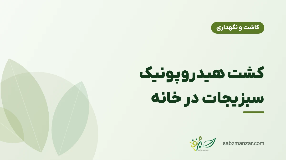 کشت هیدروپونیک سبزیجات در خانه