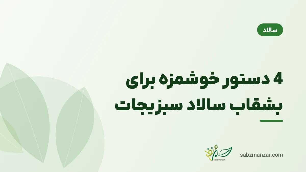 4 دستور خوشمزه برای بشقاب سالاد سبزیجات