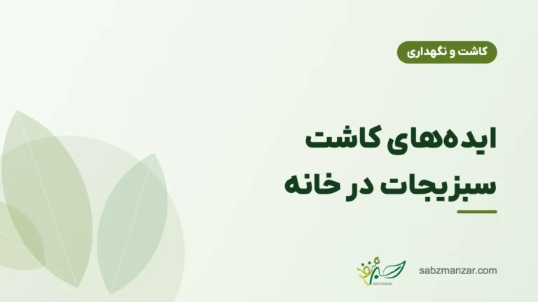 ایده‌های کاشت سبزیجات در خانه