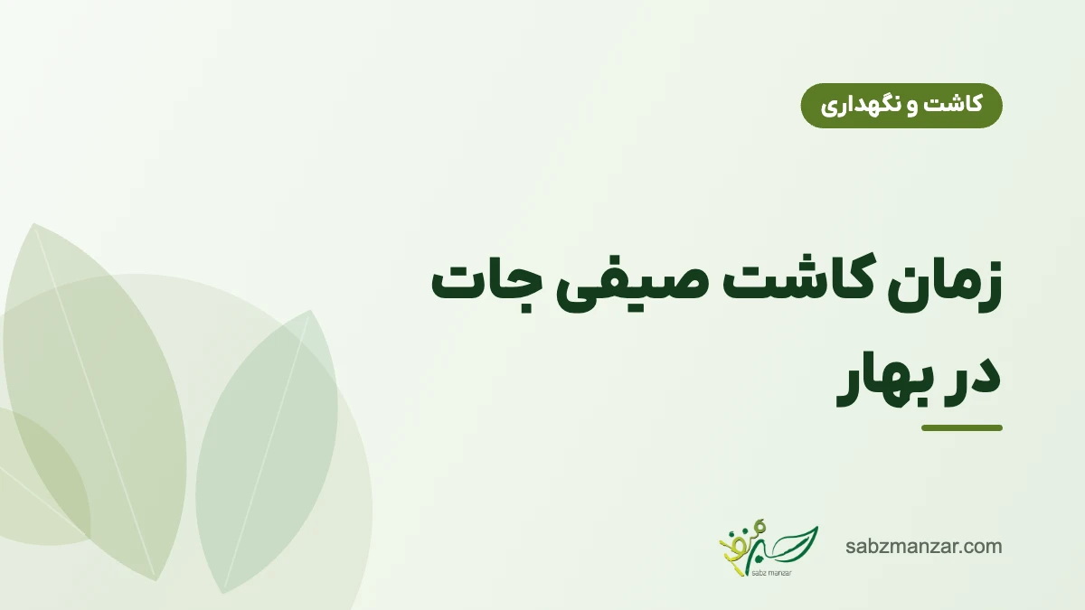 زمان کاشت صیفی جات در بهار