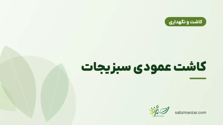 کاشت عمودی سبزیجات