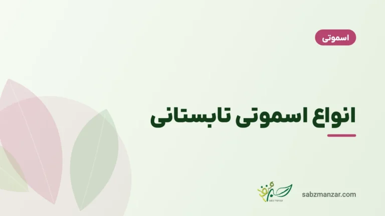 انواع اسموتی تابستانی