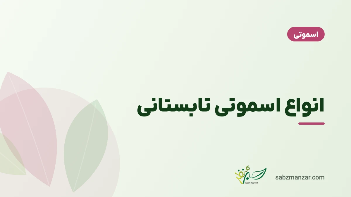 انواع اسموتی تابستانی