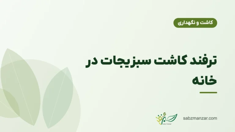 ترفند کاشت سبزیجات در خانه