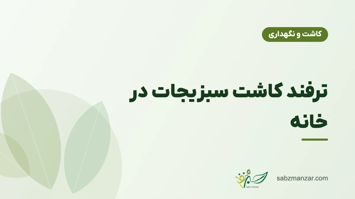 ترفند کاشت سبزیجات در خانه