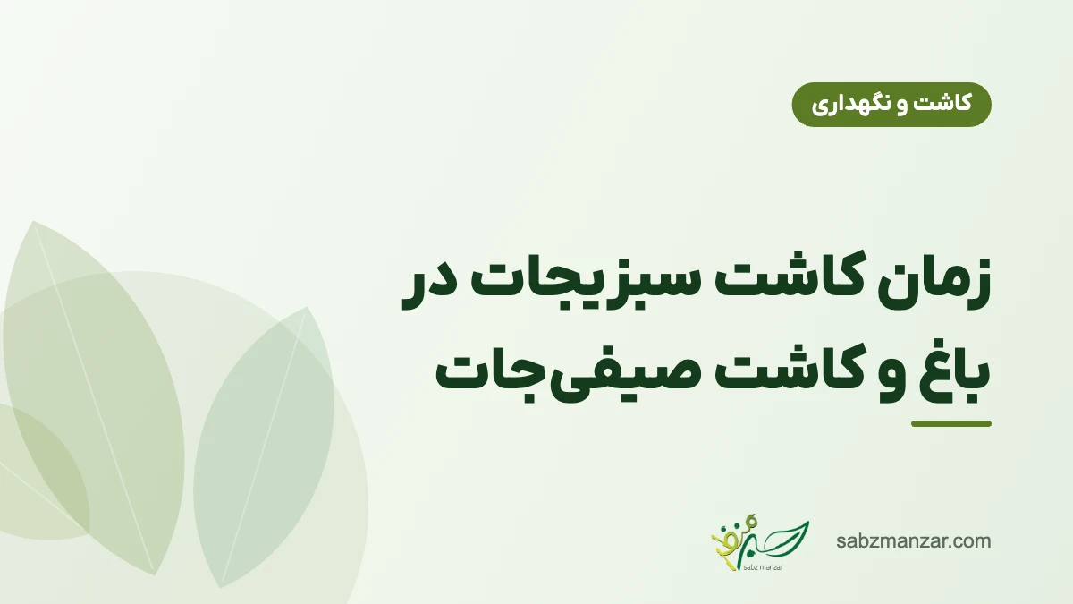 زمان کاشت سبزیجات در باغ و کاشت صیفی‌جات