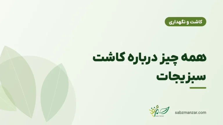همه چیز درباره کاشت سبزیجات