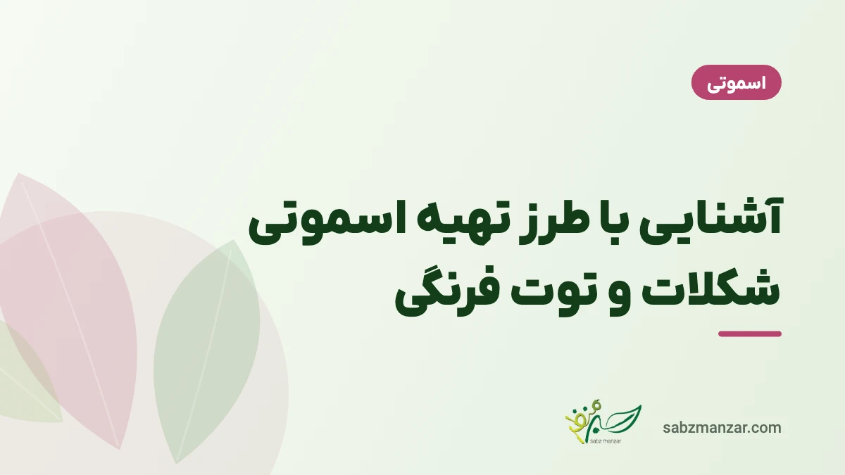 آشنایی با طرز تهیه اسموتی شکلات و توت فرنگی