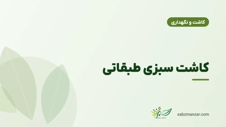 کاشت سبزی طبقاتی