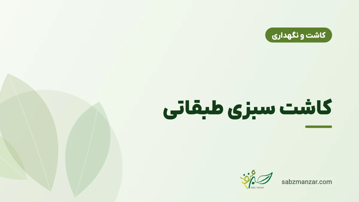 کاشت سبزی طبقاتی