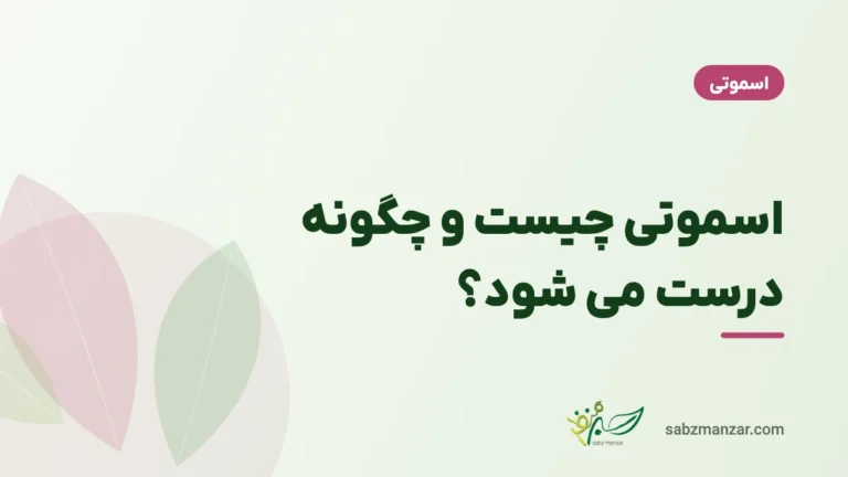 اسموتی چیست و چگونه درست می شود؟
