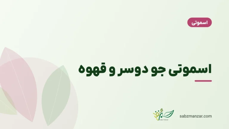اسموتی جو دوسر و قهوه