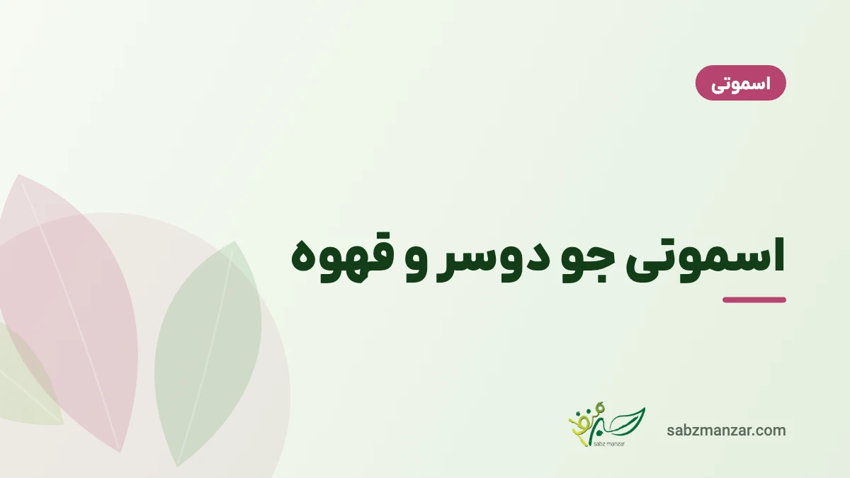 اسموتی جو دوسر و قهوه