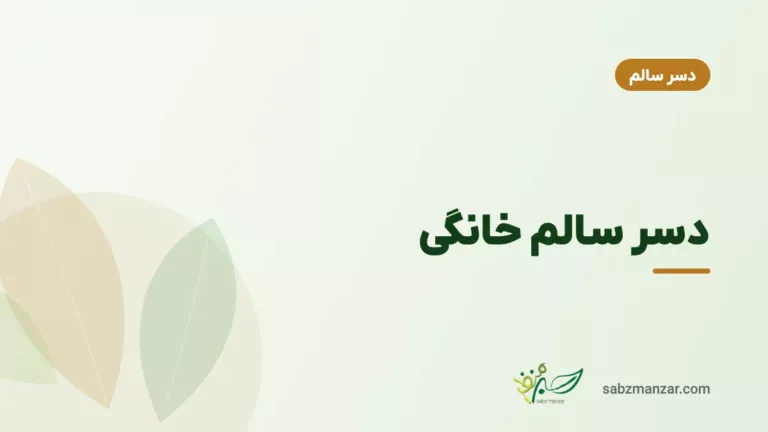 دسر سالم خانگی
