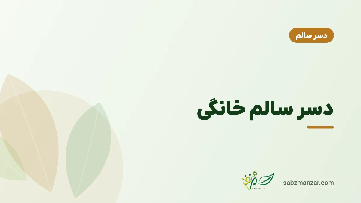 دسر سالم خانگی