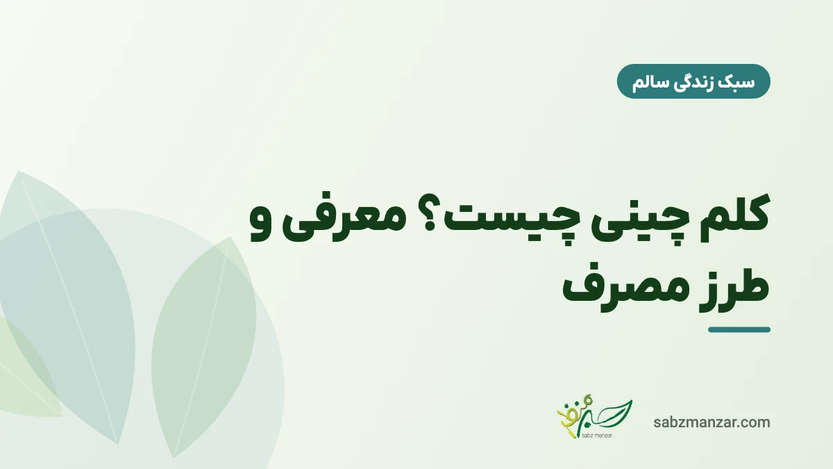 کلم چینی چیست؟ معرفی و طرز مصرف