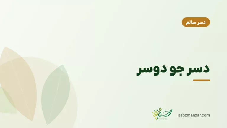 دسر جو دوسر