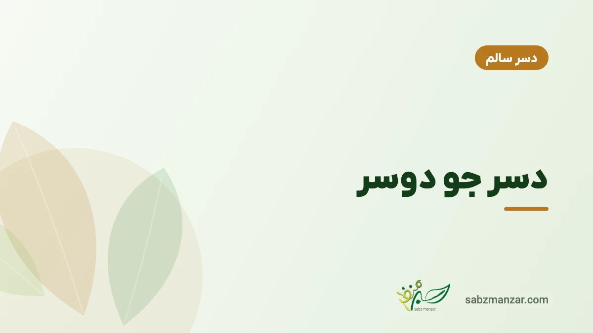 دسر جو دوسر