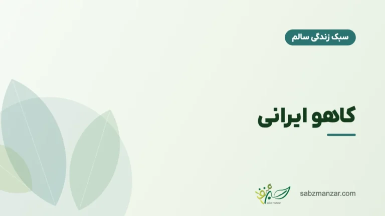 کاهو ایرانی