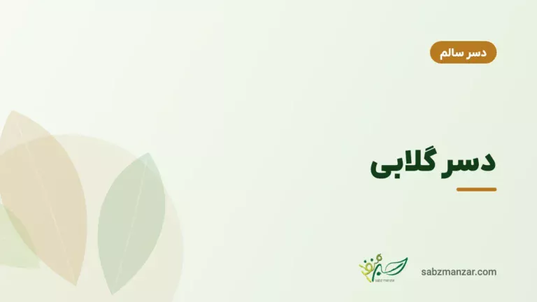 دسر گلابی