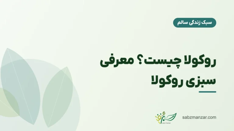 روکولا چیست؟ معرفی سبزی روکولا