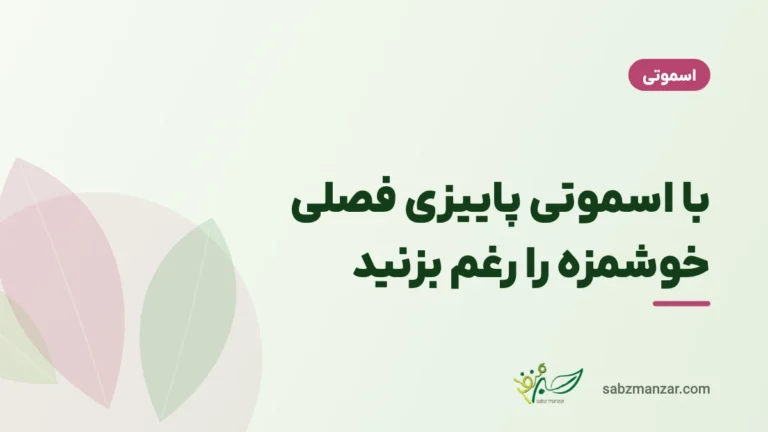 با اسموتی پاییزی فصلی خوشمزه را رغم بزنید