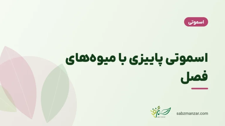 اسموتی پاییزی با میوههای فصل