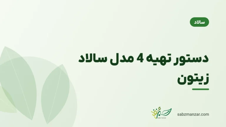 دستور تهیه 4 مدل سالاد زیتون