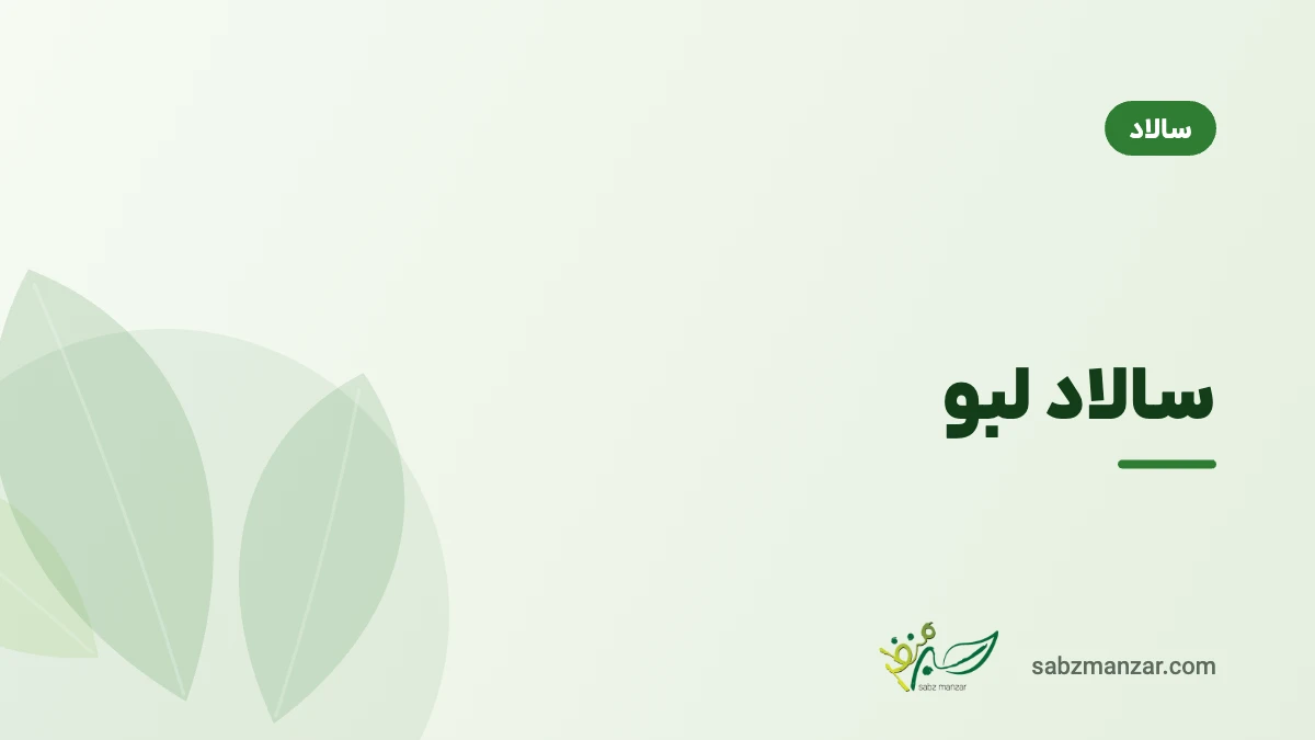 سالاد لبو