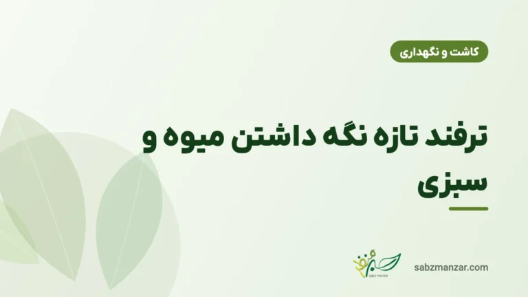 ترفند تازه نگه داشتن میوه و سبزی
