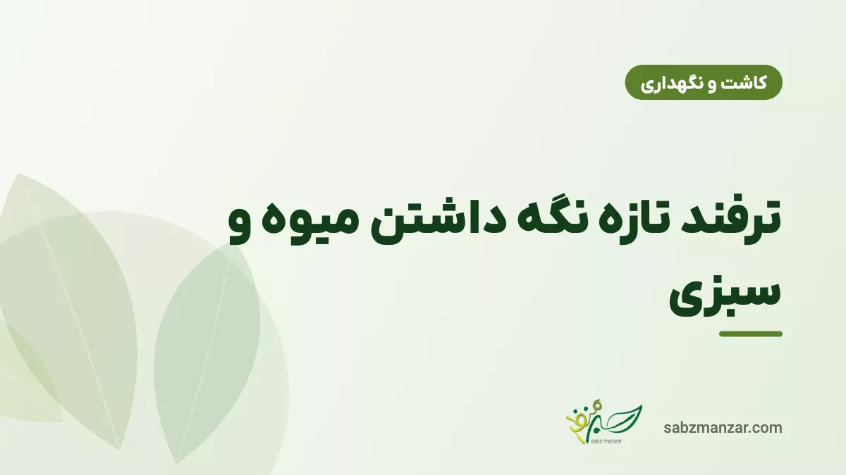 ترفند تازه نگه داشتن میوه و سبزی