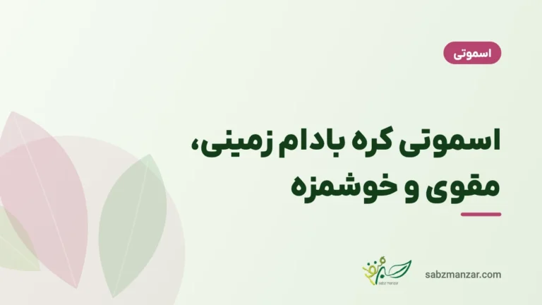 اسموتی کره بادام زمینی، مقوی و خوشمزه