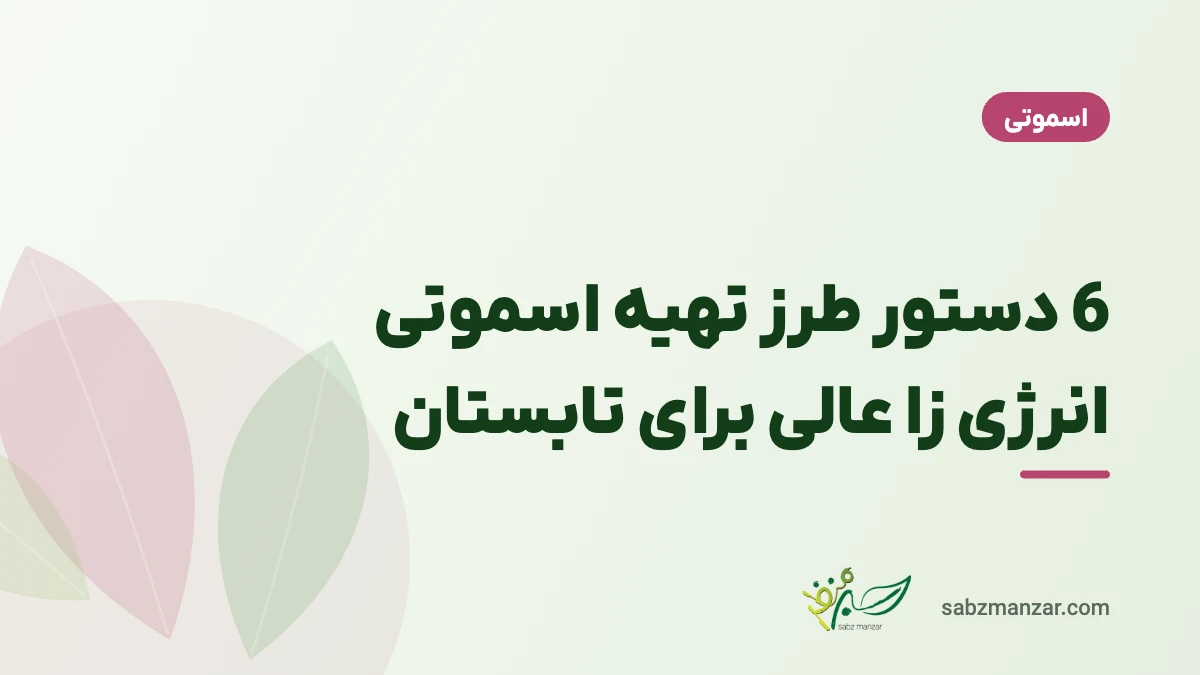 6 دستور طرز تهیه اسموتی انرژی زا عالی برای تابستان