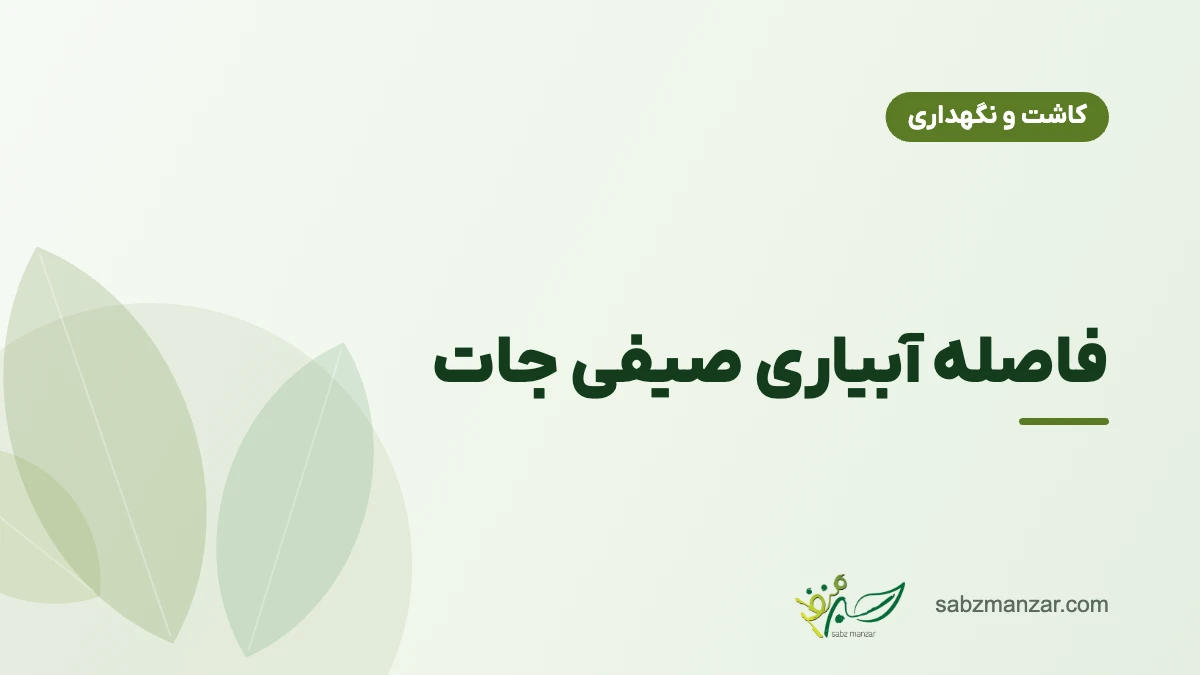 فاصله آبیاری صیفی جات