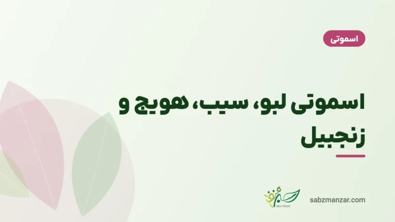 اسموتی لبو، سیب، هویج و زنجبیل