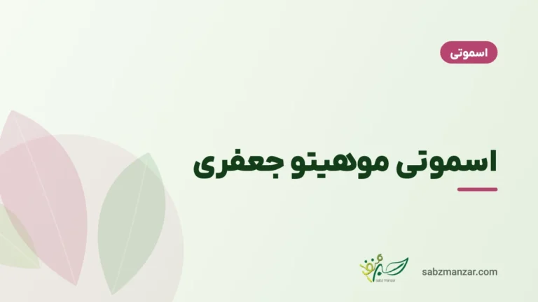 اسموتی موهیتو جعفری