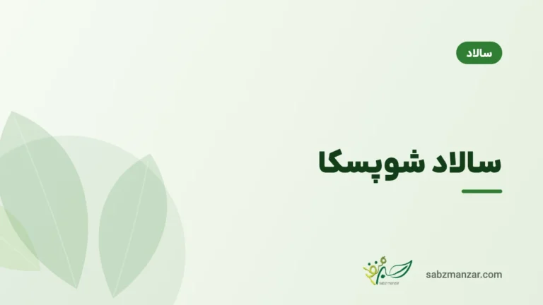سالاد شوپسکا
