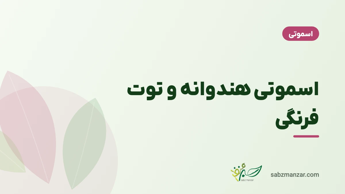 اسموتی هندوانه و توت فرنگی