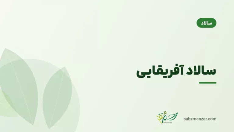 سالاد آفریقایی