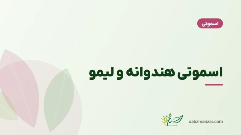 اسموتی هندوانه و لیمو